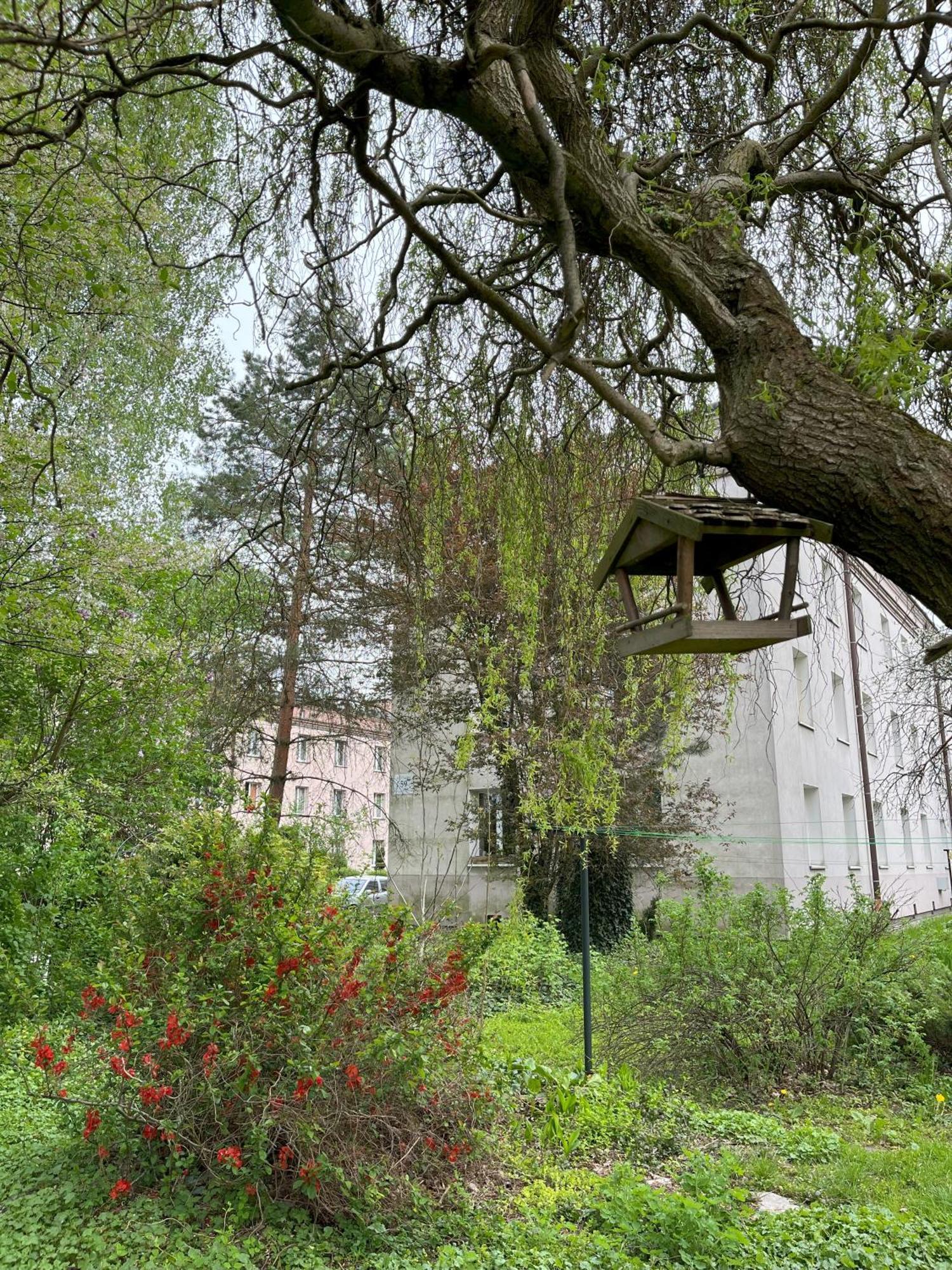 Greenthumb Praska Apartament
