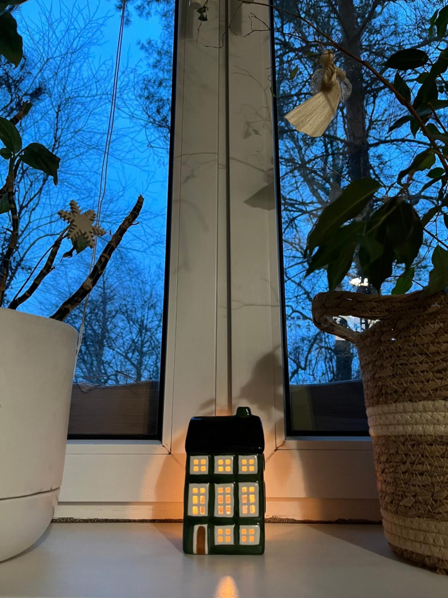 Greenthumb Praska Apartament *