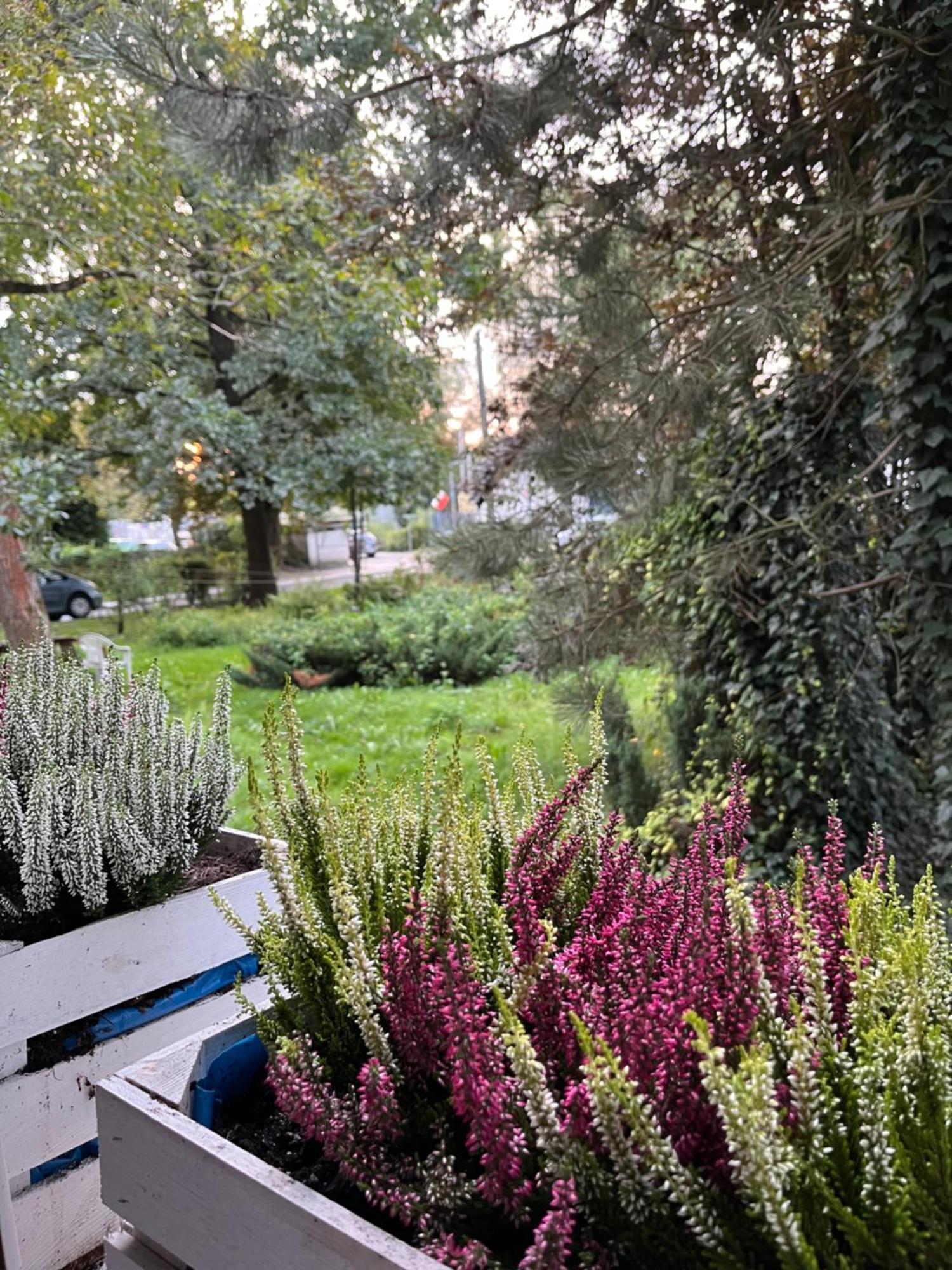 Apartment Greenthumb Praska Krakow